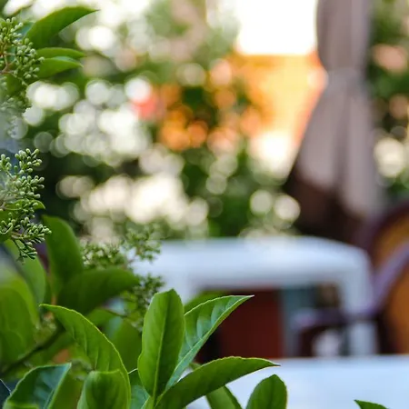 Hotel Santa Marta Pozzuoli